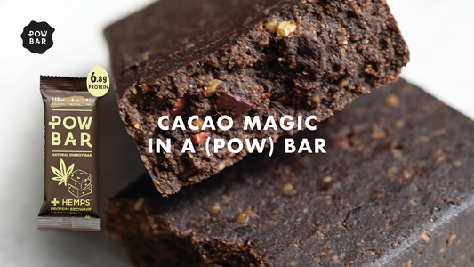 HEMPS Protein Brownie Bar